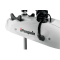 Электромотор HAIBO IPENGUIN P65 GPS 12V 53" (площадка+компас) в Горно-Алтайске