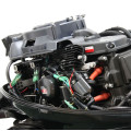 PARSUN F9.9ABMS-EFI PRO в Горно-Алтайске
