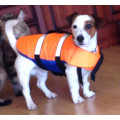 Спасательный жилет для собак в Горно-Алтайске
