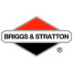 Двигатели Briggs-Stratton в Горно-Алтайске