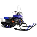 Снегоход Irbis Dingo T150 NEW в Горно-Алтайске