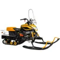 Снегоход Irbis Dingo T150 NEW в Горно-Алтайске
