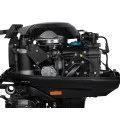 Мотор Marlin MP30AWRS в Горно-Алтайске